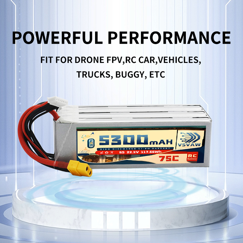 VSVAW 6S 5300mAh Lipo Battery  - Drone Battery 6S 리뷰 및 가격